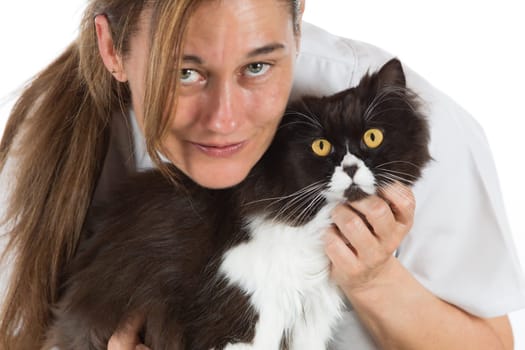 Auscultation beautiful Persian cat veterinary clinic