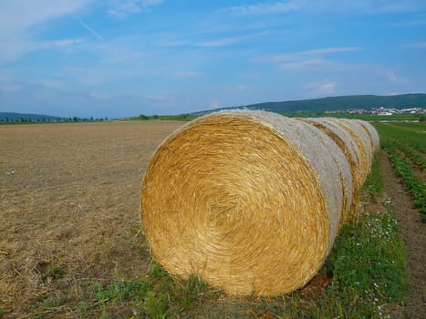 Hay balls on a field  in Austria