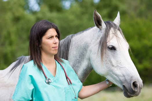 Veterinary great performing a scan to a young mare