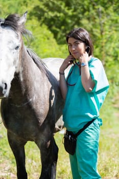 Veterinary great performing a scan to a young mare