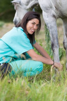 Veterinary great performing a scan to a young mare