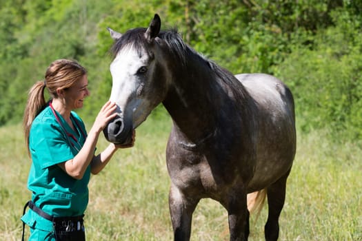 Veterinary great performing a scan to a young mare