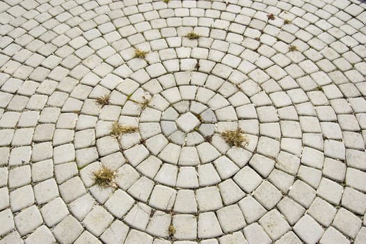Cobblestone in Town