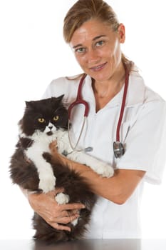 Veterinary hugging a cat and reassuring for review