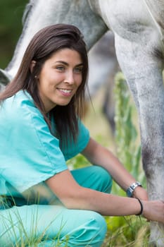 Veterinary great performing a scan to a young mare