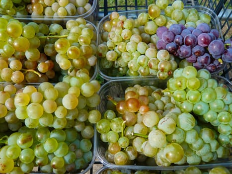 Grapes on sale in outdoor market
