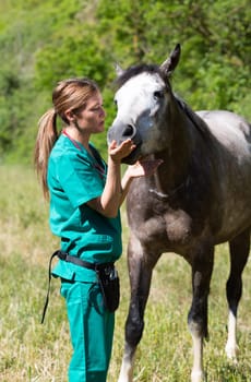 Veterinary great performing a scan to a young mare