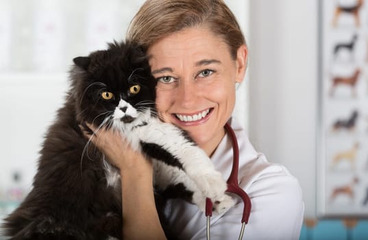 Veterinary hugging a cat and reassuring for review