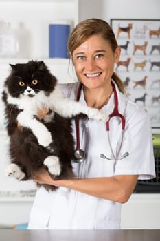 Veterinary hugging a cat and reassuring for review