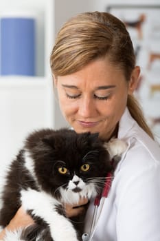Veterinary hugging a cat and reassuring for review