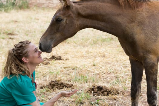 Veterinary I think feeding a horse on the farm