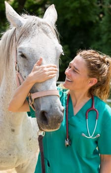 Veterinary great performing a scan to a young mare