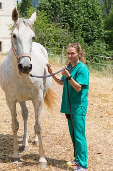 Veterinary great performing a scan to a young mare