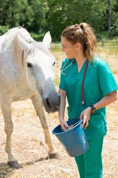 Veterinary I think feeding a horse on the farm
