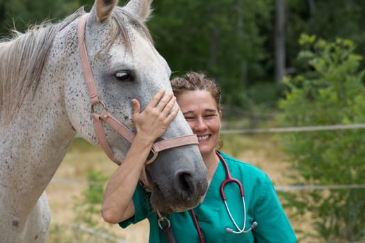 Veterinary great performing a scan to a young mare