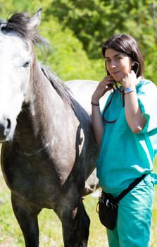 Veterinary great performing a scan to a young mare