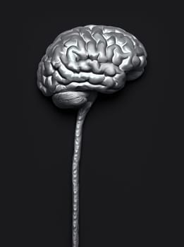 Central nervous system. Brain and spinal cord with clipping path included. Conceptual brain 3D illustration.
