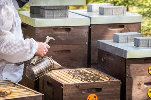 The beekeeper looks after bees. The beekeeper opens the hive, the bees checks, checks honey. Beekeeper exploring honeycomb.