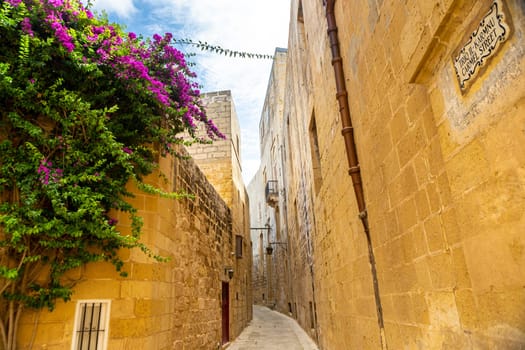 Malta, old castle Mdina cathedral city. Europe.