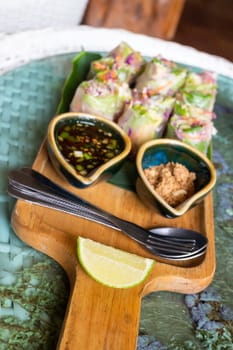 Healthy fresh vegetable spring rolls serving, stock photo