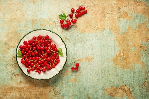 Fresh red currant berries with leaf in plate close up
