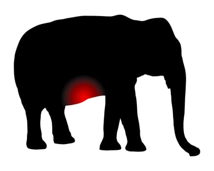 Elefant mit Schmerzen im Bauch