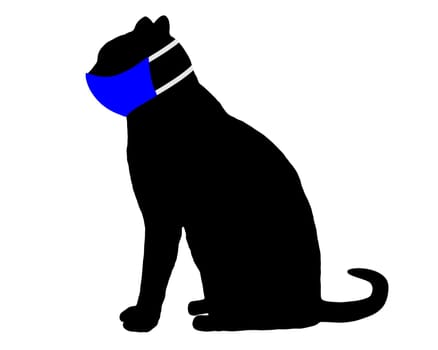 Katze mit Mundschutz