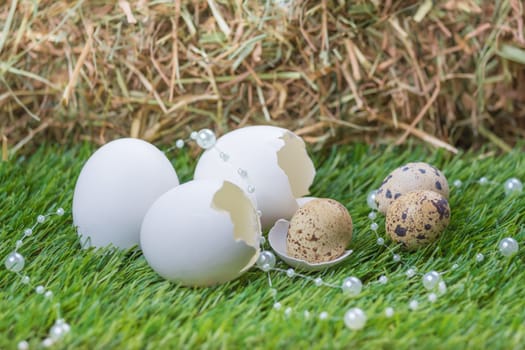 Happy easter with hidden nest. Traditional basket deco for celebration. Handmade decoration of chicken and quail egg on green pasture.