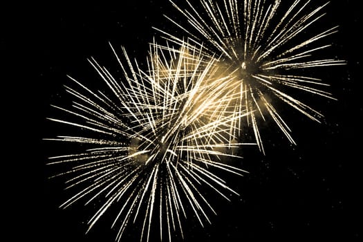 Premium entertainment magic star firework at e.g. New Years Eve or Independence Day party celebration. Black background copyspace.