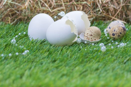Happy easter with hidden nest. Traditional basket deco for celebration. Handmade decoration of chicken and quail egg on green pasture.