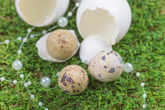 Happy easter with hidden nest. Traditional basket deco for celebration. Handmade decoration of chicken and quail egg on green pasture.
