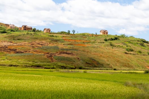 The Landscape shots of green fields and landscapes on the island of Madagascar