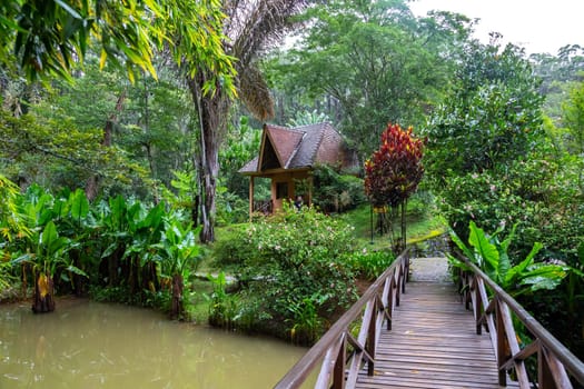 One small wooden bridge over a small river in a rainforest in Madagascar