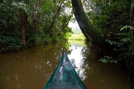 The boat ride on the water in the rainforest on the island of Madagascar..