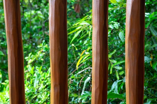 A Background from a wooden mesh or wood