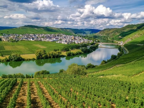 Mosel loop on a cloudy day in summer view to Trittenheim, Germany
