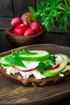 Bruschetta with cucumber, radishes and persil on wooden dark board, vertical image