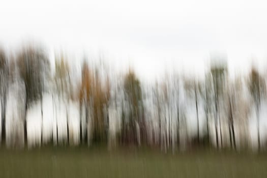 Motion blurred foliage and trees in autumn