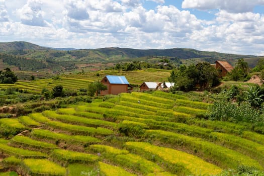 The Landscape shots of green fields and landscapes on the island of Madagascar