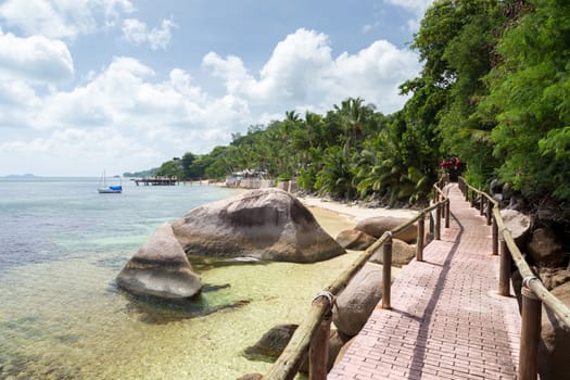 Pathway by the ocean with big stones and green plants