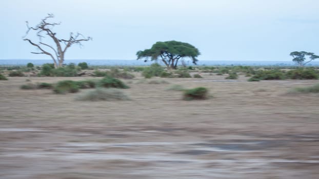 Landscape of Kenya, blue sky, some trees