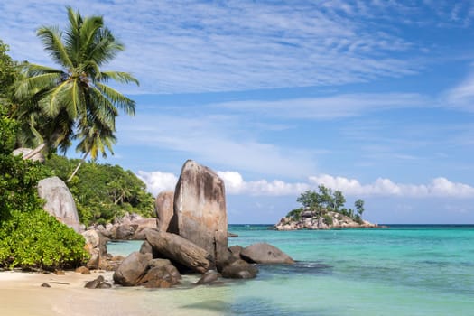 Big stones on the beach with a lot of green plants
