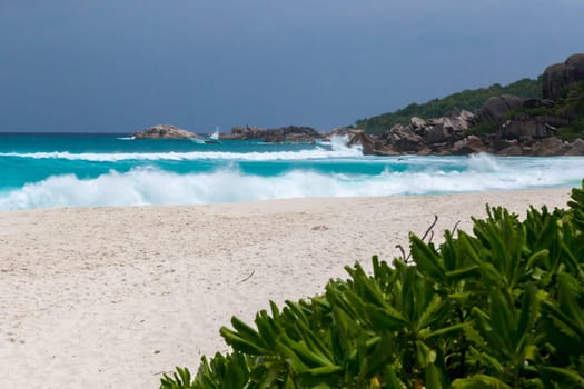 White sand on the beach and waves a lot of green plants and rocks