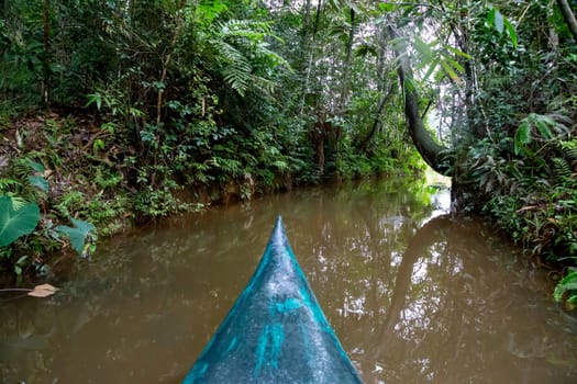 The boat ride on the water in the rainforest on the island of Madagascar..