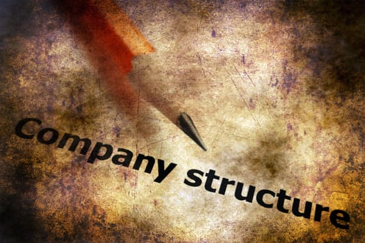Company structure text on grunge background