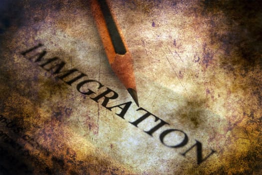 immigration form grunge concept