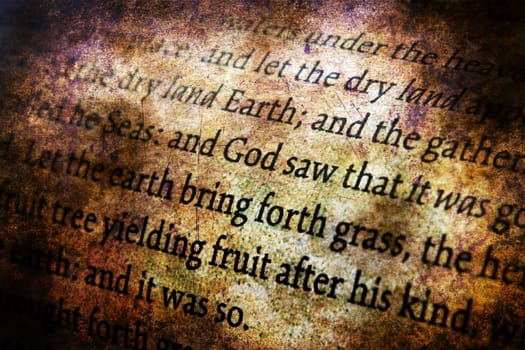 Bible close up grunge concept