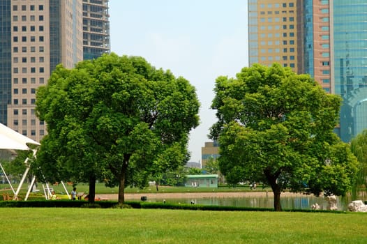 Trees in urban garden with commerical building as background