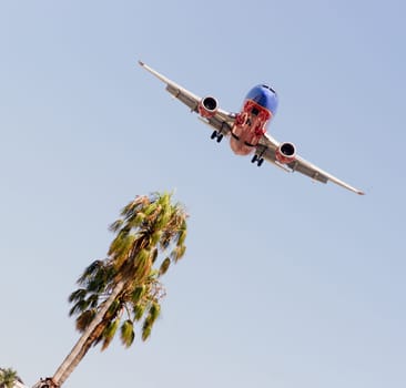 Jet airliner flies over palm tree headed for the airport