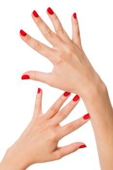 Women's hands with beautiful well-groomed fingers and red nail polish wellness beauty spa close up isolated on white background
